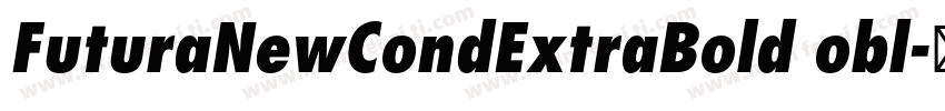 FuturaNewCondExtraBold obl字体转换